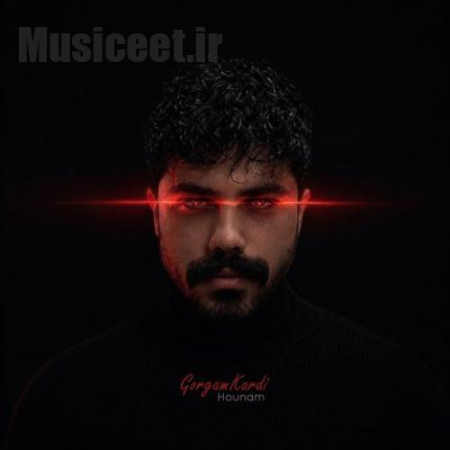 دانلود آهنگ هونام به نام گرگم کردی